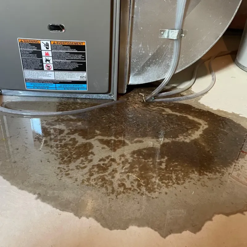 Appliance Leak Cleanup in Miamisburg, OH